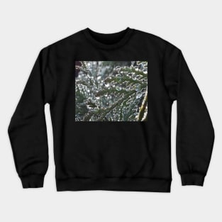 Dew drops Crewneck Sweatshirt